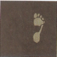 Foot Print B2 60x60